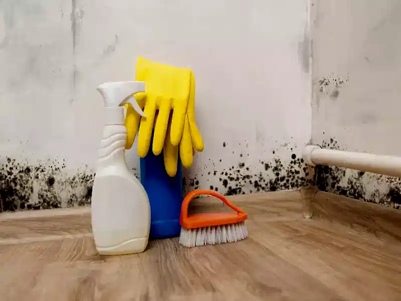 İç Cephe Temizliği: Adım Adım Kılavuz